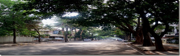 Bangalore morning walks