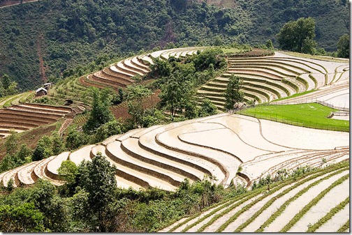 Sa-pa-Terraces-Vietnam
