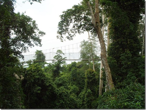 800px-Kakum_National_Park,_Ghana