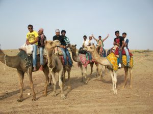 Camel Rides Jaisalmer