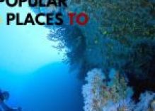 Top 5 Popular Diving Places